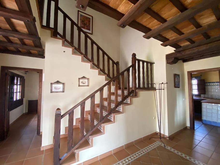 Gran Casa Con Piscina Privada By Chiclana Dreams Villa Chiclana de la Frontera Dış mekan fotoğraf