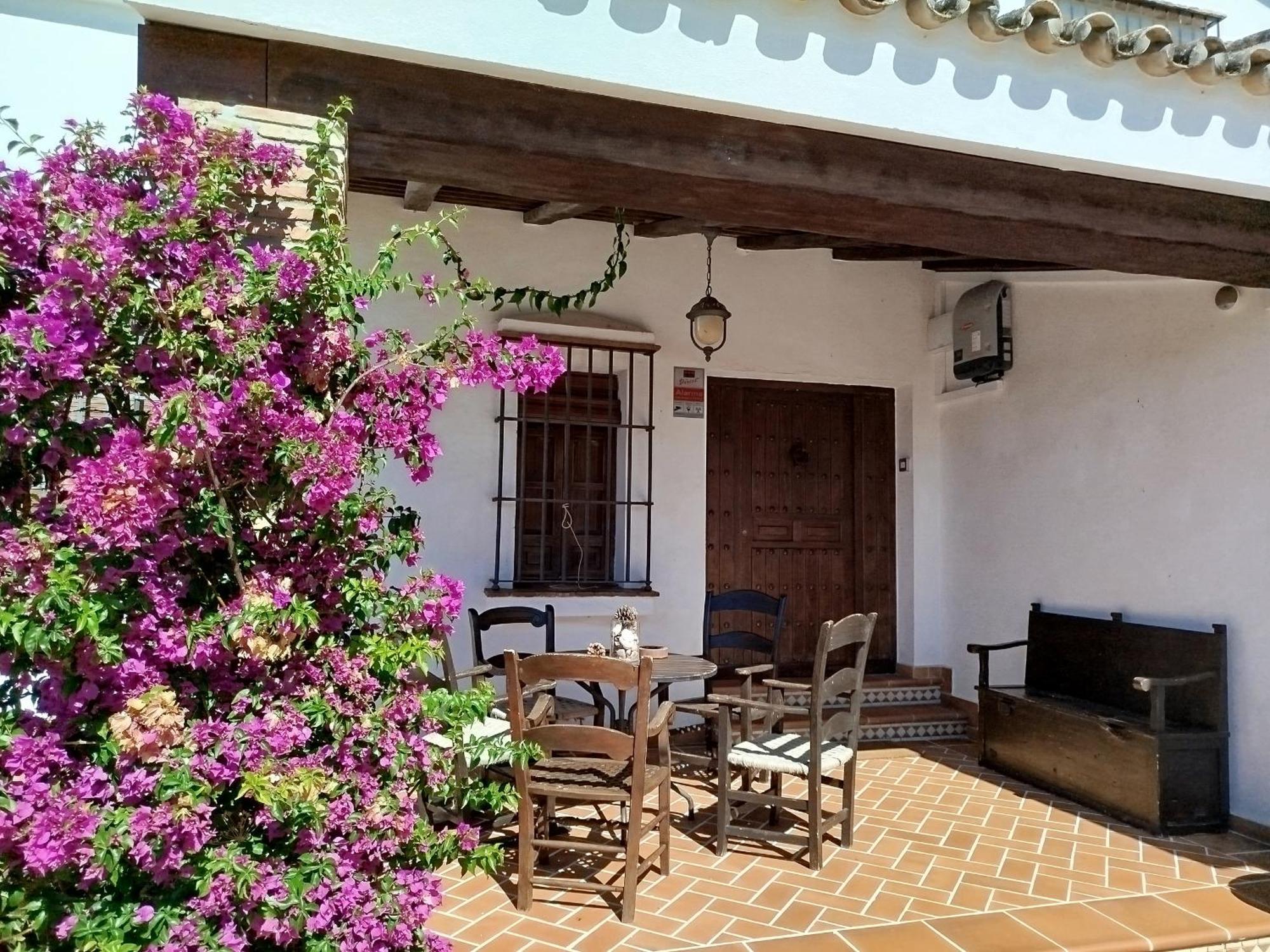 Gran Casa Con Piscina Privada By Chiclana Dreams Villa Chiclana de la Frontera Dış mekan fotoğraf